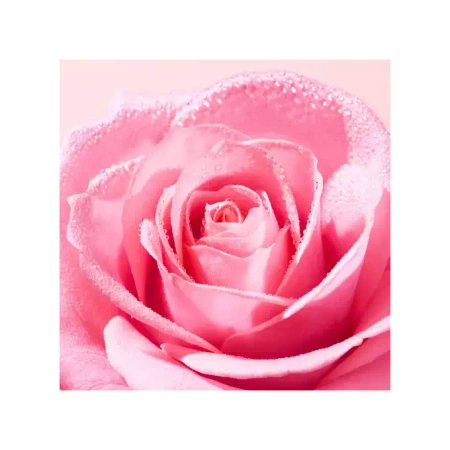 Nuxe Very Rose Woda micelarna 3w1, 200ml