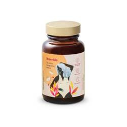 Health Labs Care BrownMe, 30 kapsułek │ Data ważności 01/2026 │
