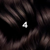 PHYTO COLOR No 4 Kasztan Farba do włosów