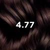 PHYTO COLOR No 4.77 Intensywny Kasztanowy Brąz Farba do włosów, ( 50 ml+ 50 ml +12 ml)